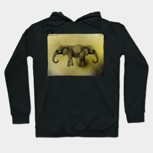 Elephantasy Hoodie